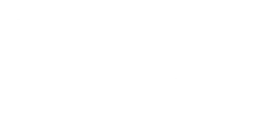 logo white aaie